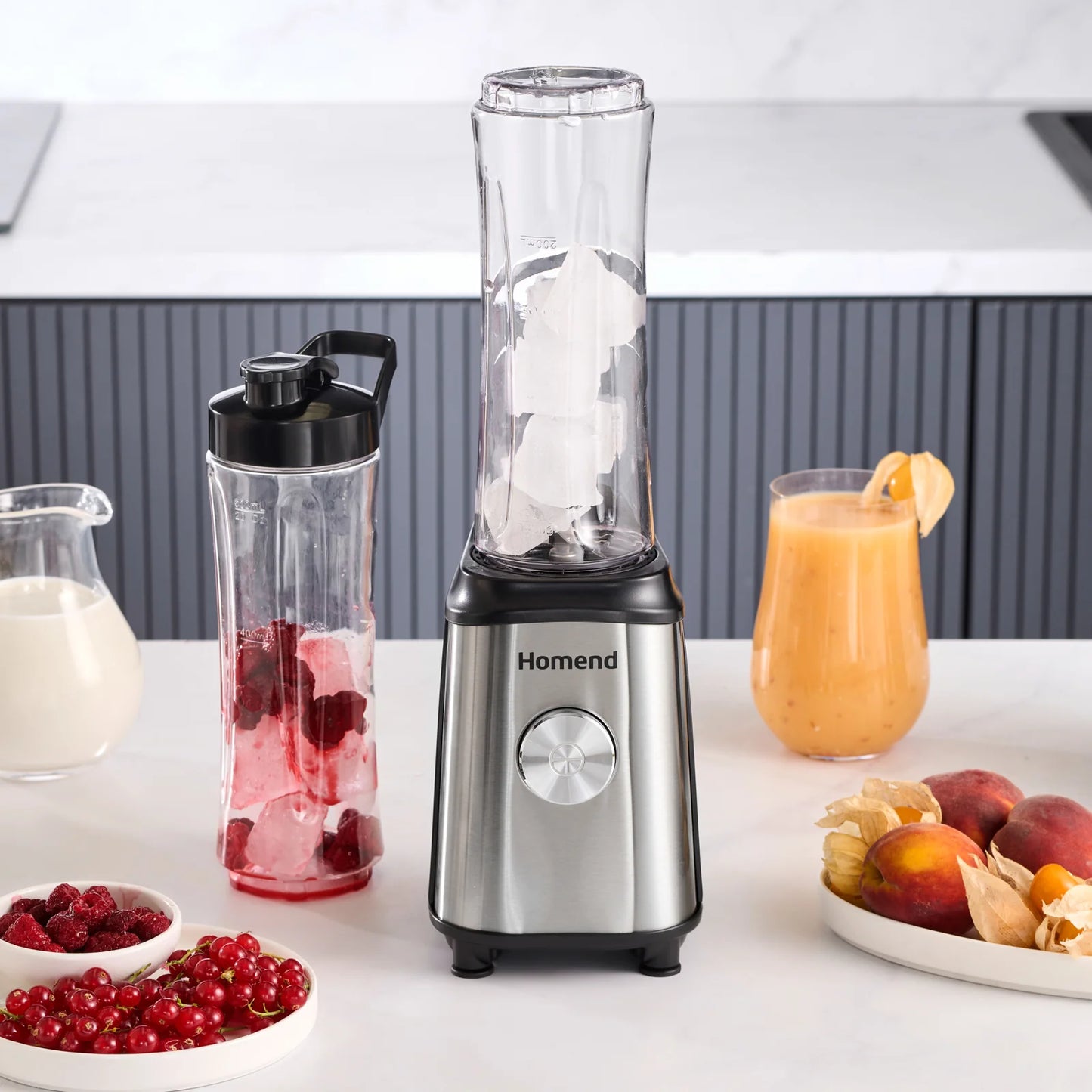Homend Mixfresh Smoothie Blender Edelstahl 350W